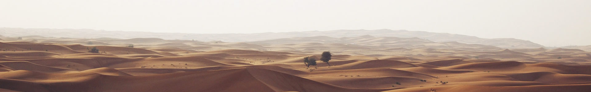 Ϸʳó޹˾